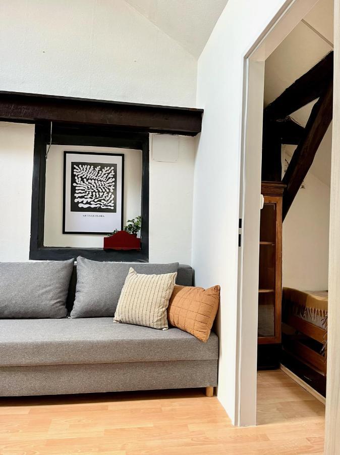 2 Bedrooms Close To Palmovka Lejlighed